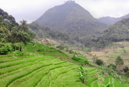 Tour Sepeda Kembang Kuning / Selogriyo