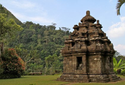 Kembang Kuning - Candi Selogriyo