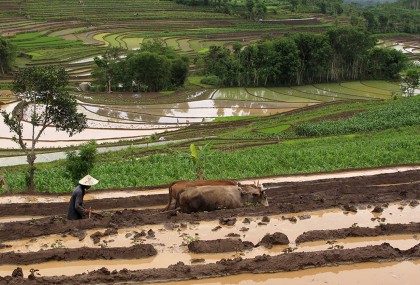 Pendakian di Candi Selo Griyo